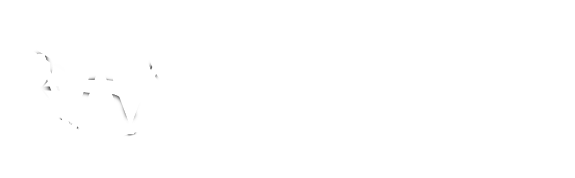 Silverweb Solutions logo